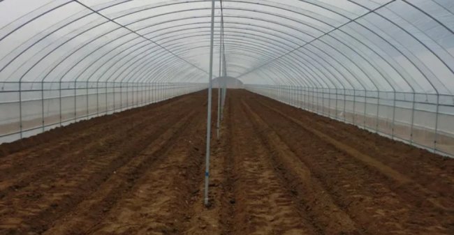 В Бухарской области предприятие незаконно подключило теплицу к газоснабжению, украдено 3 млн кубометров газа