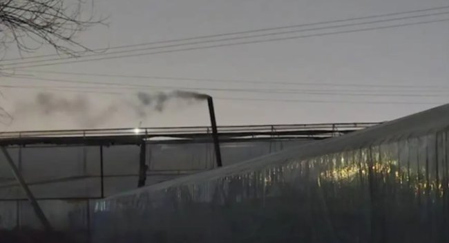 8 теплиц Ташкентской области загрязняли воздух столицы, сжигая резиновые покрышки