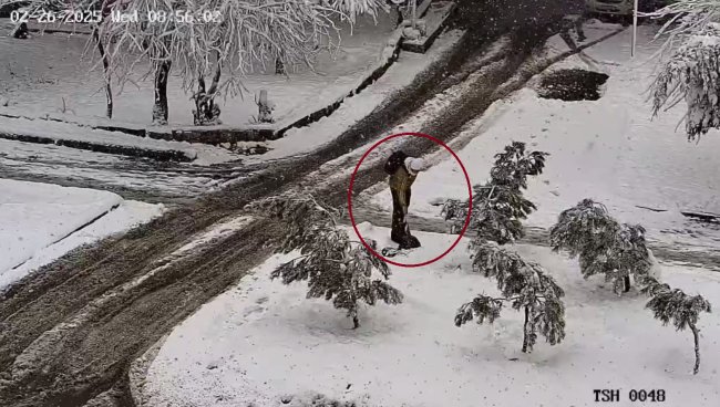 В Алмазарском районе мужчина заплатит 375 000 сумов за оставленный на улице пакет с мусором