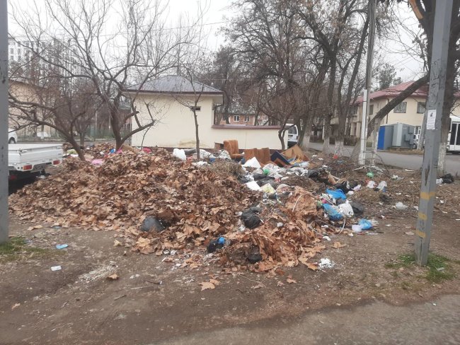 В Шайхантахурском районе сотрудник управляющей компании организовал незаконную свалку в жилом массиве