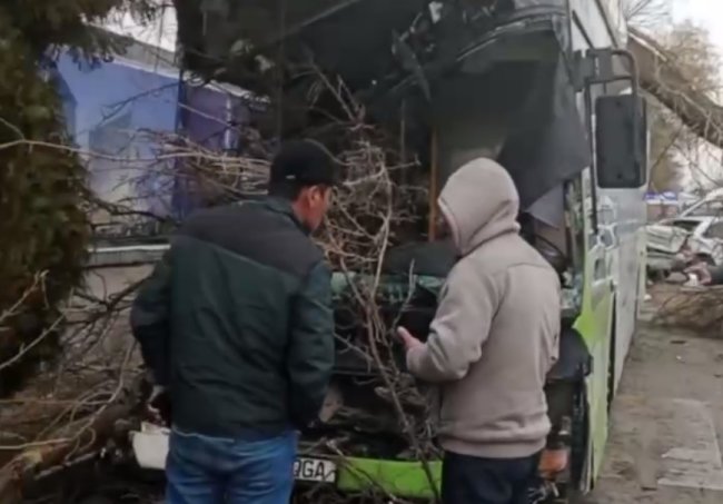 В Ташкенте автобус столкнулся с деревом и двумя автомобилями, есть пострадавший