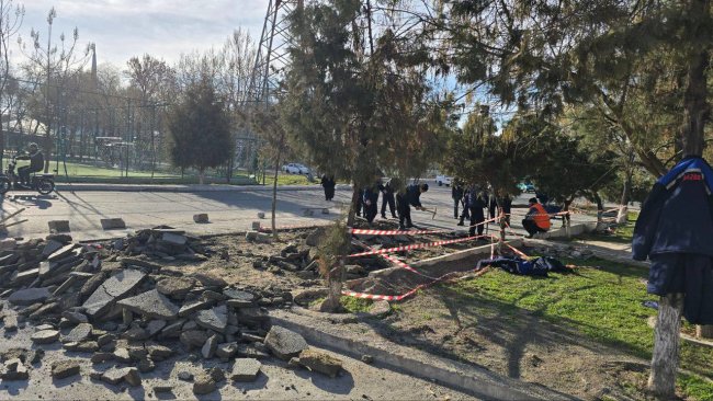 В Алмазарском районе экологи восстановили зелёную зону, захваченную предпринимателем