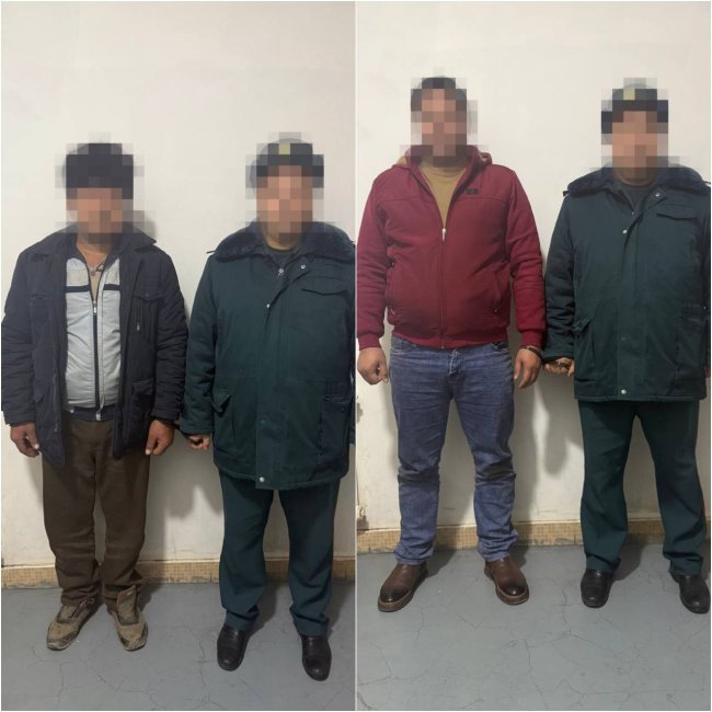 В Кашкадарье предприниматель нашёл способ как обокрасть иностранную компанию