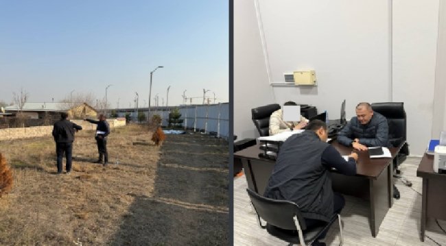 В Мирзо-Улугбекском районе застройщик планировал вырубить дерево и повредил его