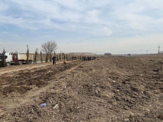 В Ахангаране вокруг нового мусорного полигона высаживают «зеленый пояс»