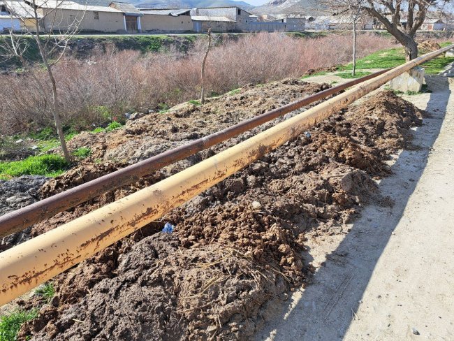 За выброшенный в неположенном месте навоз мужчина из Джизака заплатит более 1 млн сумов штрафа