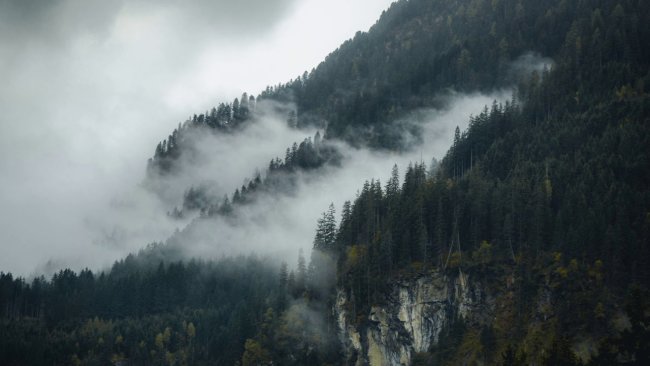 С какой погоды начнётся следующая неделя в Узбекистане?