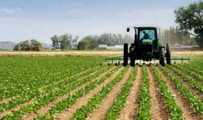 В Узбекистане будут наказывать за заброшенные приусадебные участки