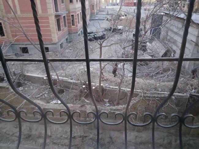 В Самарканде мужчина самовольно срезал деревья, ему грозит большой штраф