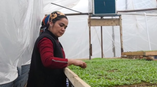 Флористка из Ферганской области зарабатывает около 300 млн сумов в год на своих теплицах