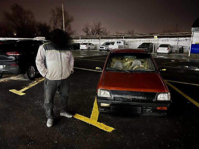 Жителю Навои придётся продать свой автомобиль, чтобы выплатить штраф за вырубку саксаула