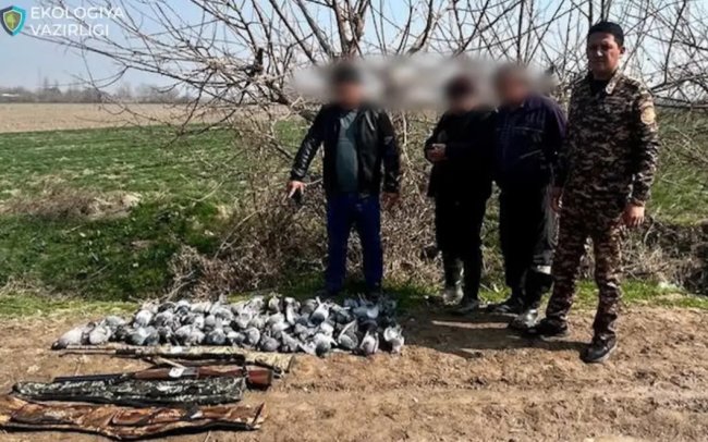 В Янгиюле двое мужчин отстреливали голубей, дело передано в суд