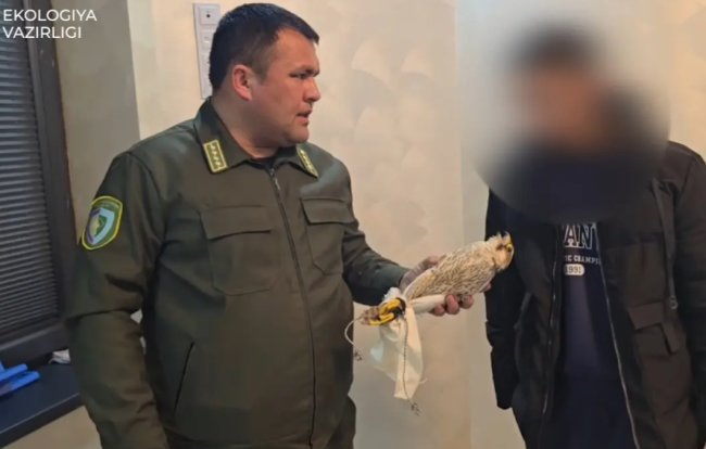 В Фергане мужчина заплатит 562 млн сумов штрафа за содержание птицы, занесённой в Красную книгу