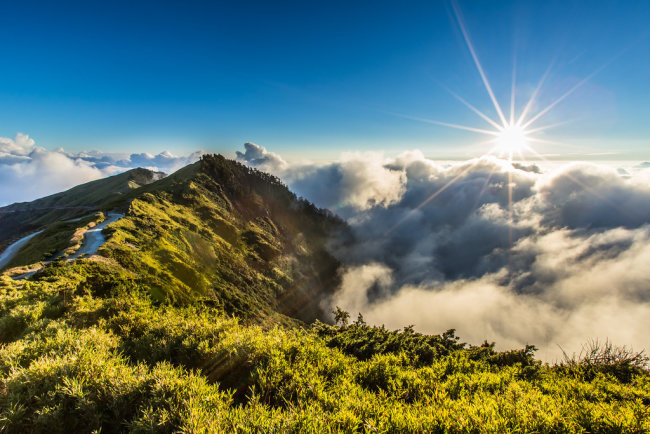 Сегодня в Ташкенте ожидается потепление