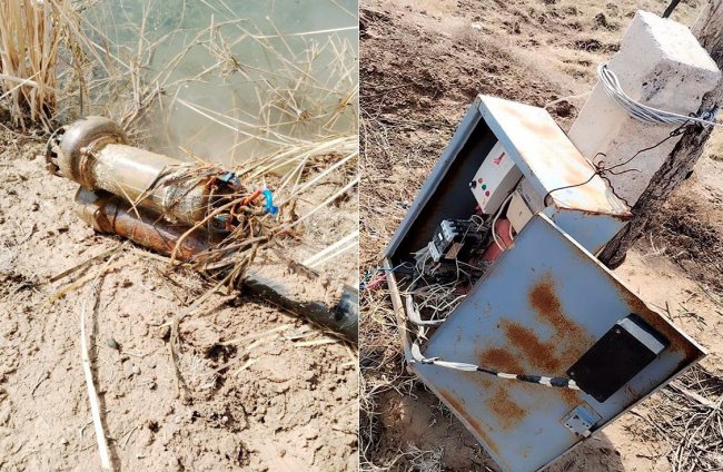 В Кашкадарье фермер ответит перед законом за кражу электроэнергии в особо крупном размере