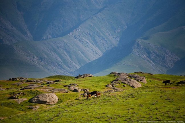 На выходных в Узбекистане потеплеет до 25 градусов
