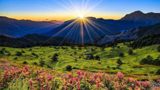 Ташкентцев сегодня ожидает тёплая погода