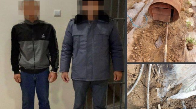 В Кашкадарье владелец теплицы может получить 15 лет тюрьмы