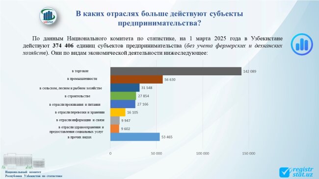 В каких сферах больше всего осуществляют свою деятельность предприниматели Узбекистана?