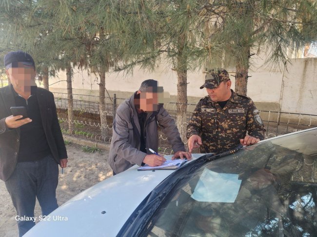 В Карши мужчина незаконно выкорчевал два сухих дерева и теперь заплатит крупный штраф