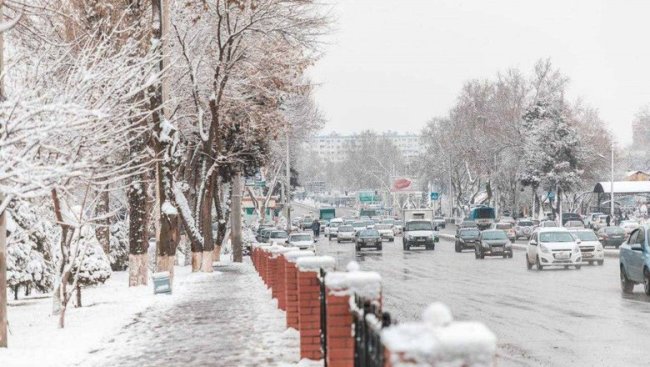 Сегодня к вечеру в Ташкенте ожидается снег