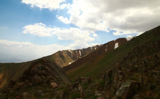 На территории трёх областей Узбекистана появились новые охранные заповедные зоны