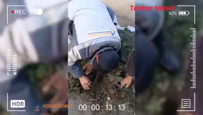 В Бухаре выявляются массовые случаи кражи природного газа