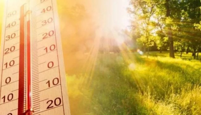 В Ташкенте сегодня ожидается жаркая погода