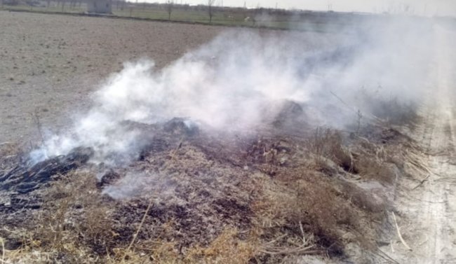 Девять жителей Бухарской области наказаны за загрязнение атмосферного воздуха