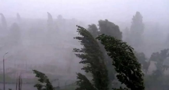 Узгидромет опубликовал экстренное сообщение об усилении ветра в некоторых регионах Узбекистана