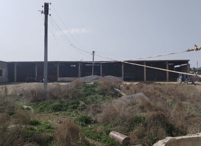 Житель Кашкадарьи украл электроэнергию на 354 млн сумов