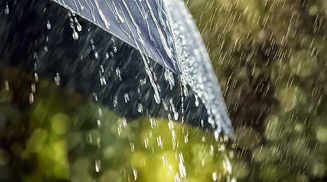 С сегодняшнего дня в Ташкенте начнёт теплеть, вечером возможен дождь