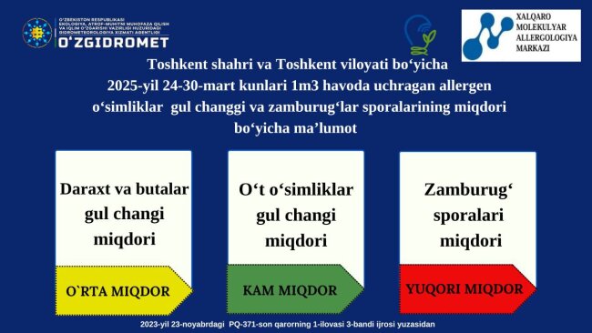За неделю наблюдений на границе Ташкента и Ташобласти выявили большое количество спор плесневых грибов