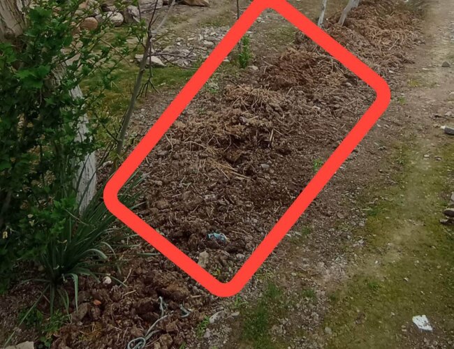 Житель Джизака заплатит штраф за выброс навоза на улицу