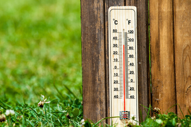 В некоторых регионах Узбекистана возможны дожди с грозами