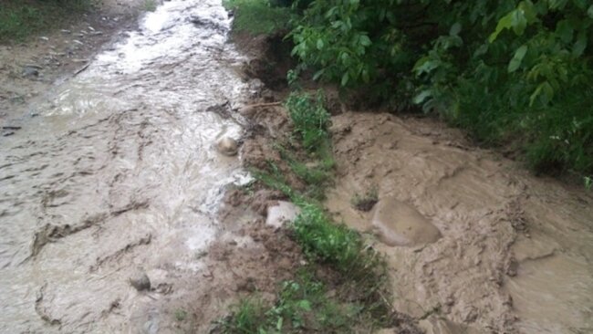 Узгидромет опубликовал экстренную информацию о погоде в Узбекистане на 23-24 апреля