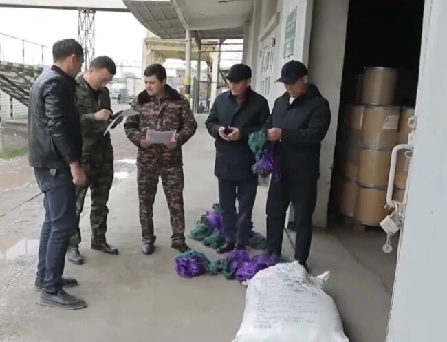 В Ташкенте установили факт незаконного импорта рыболовных сетей