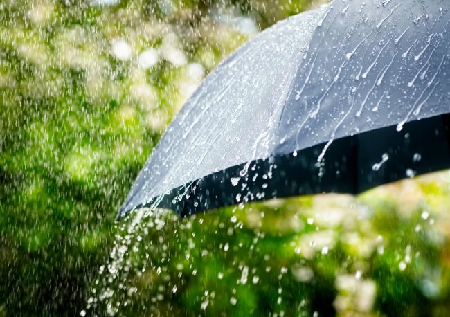 Сегодня в Ташкенте ожидается дождь