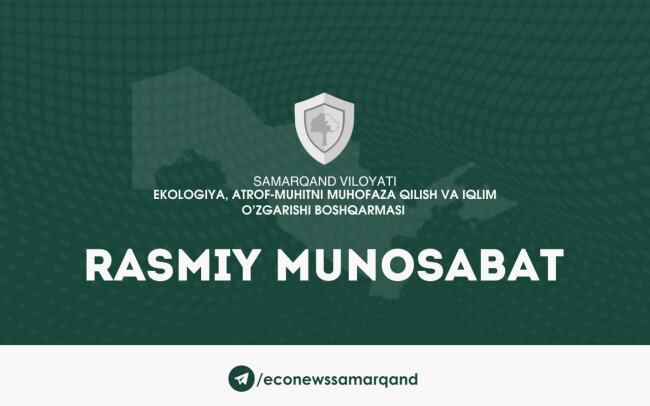 В Самарканде мужчина погубил 40-летнее дерево и теперь заплатит огромный штраф