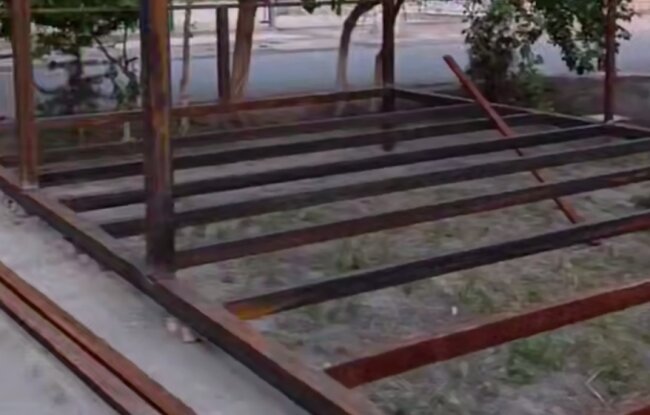 В Бухаре предприниматель незаконно пересадил 4 ёлки и теперь заплатит крупный штраф