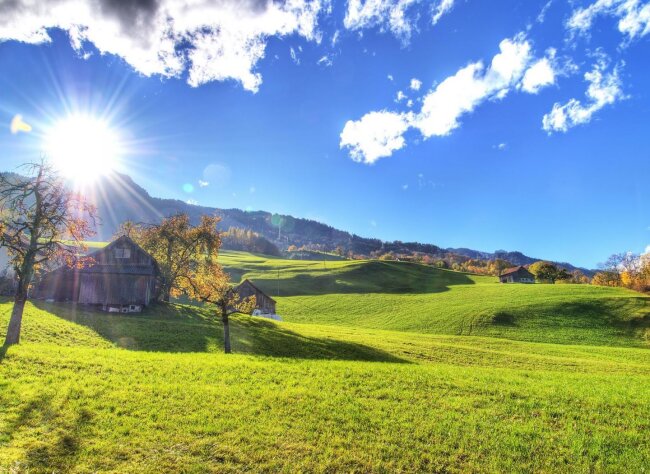 Сегодня в Ташкенте ожидается жаркая погода