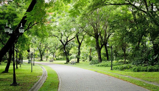 На территории Узбекистана организуют парки по типовым проектам