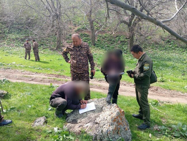 Более 40 млн сумов выплатят жители Джизакской области за уничтожение шиповника