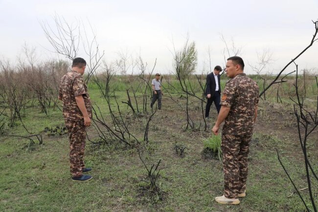 Более 10 гектаров лесного хозяйства сгорело в Каттакургане