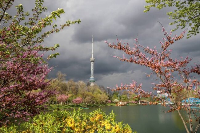 В Ташкенте сегодня ожидается прохладная погода