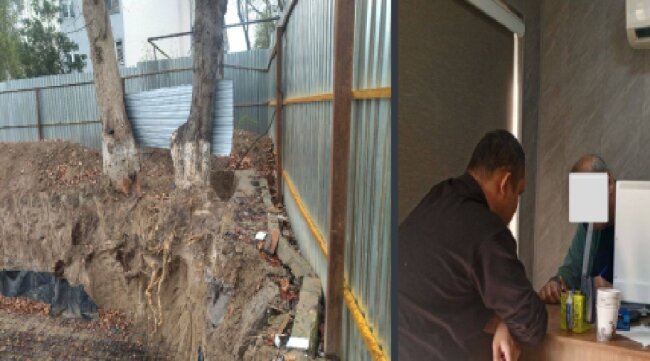 Более 20 млн сумов заплатит мужчина за повреждение деревьев в Учтепинском районе