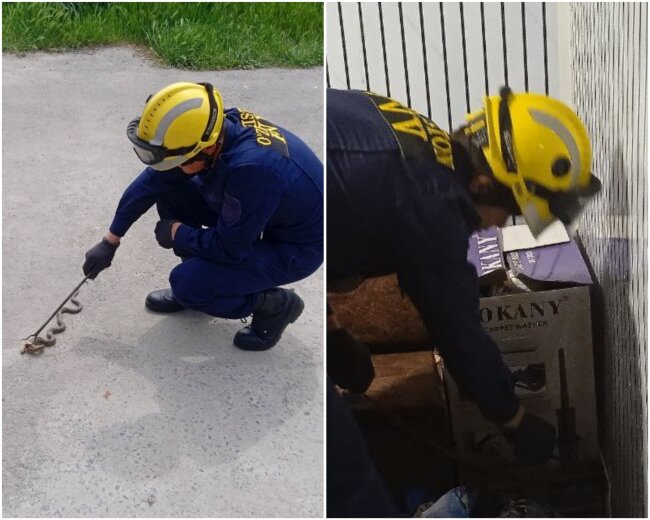 Змея не давала жителям Самарканда попасть к себе домой