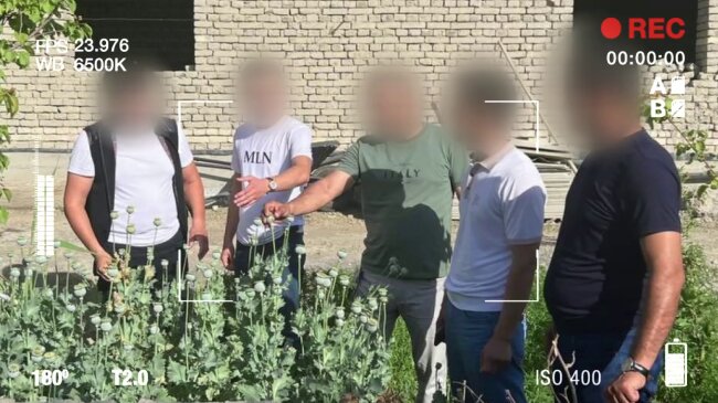 Два жителя Гиждуванского района создали плантацию опийного мака
