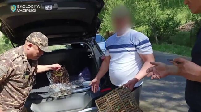 В Ангрене два гражданина ловили соловьёв, ущерб составил 9 млн сумов