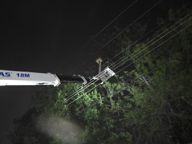 Из-за сильного ветра 18,8 тыс. жителей Ташкента и области остались без электричества